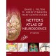 Netter's Atlas of Neuroscience (ebook) - Envío Gratuito