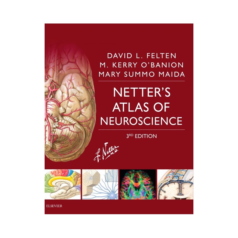 Netter's Atlas Of Neuroscience (ebook)