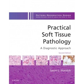 Practical Soft Tissue Pathology: A Diagnostic Approach E-Book (ebook) - Envío Gratuito