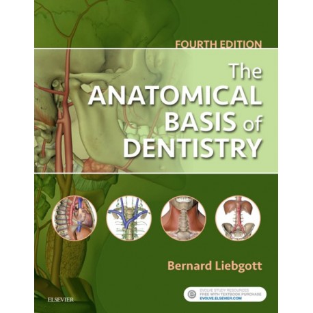 The Anatomical Basis of Dentistry - E-Book (ebook) - Envío Gratuito