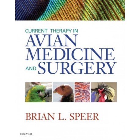 Current Therapy in Avian Medicine and Surgery (ebook) - Envío Gratuito