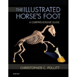 The Illustrated Horse's Foot (ebook) - Envío Gratuito