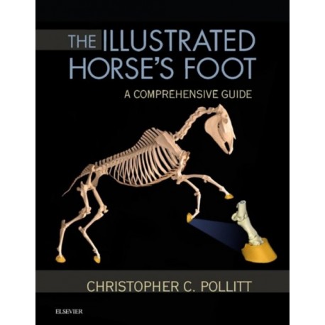 The Illustrated Horse's Foot (ebook) - Envío Gratuito