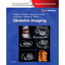 Obstetric Imaging (ebook) - Envío Gratuito