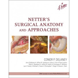 Netter's Surgical Anatomy and Approaches (ebook) - Envío Gratuito