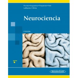 Neurociencia - Envío Gratuito