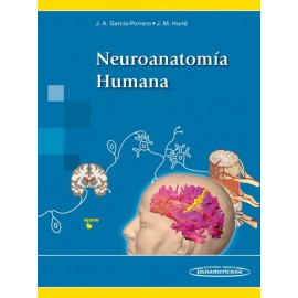 Neuroanatomía Humana - Envío Gratuito