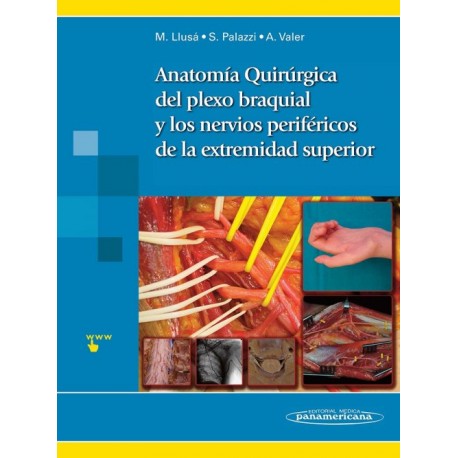 Anatomía Quirúrgica del plexo braquial y nervios periféricos de la extremidad superior - Envío Gratuito