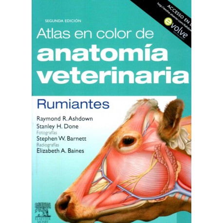 Atlas en color de anatomía veterinaria. Rumiantes - Envío Gratuito