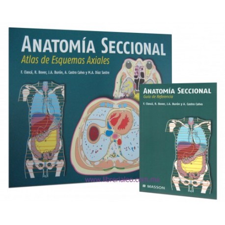 Anatomía seccional. Atlas de esquemas axiales + guía de referencia - Envío Gratuito